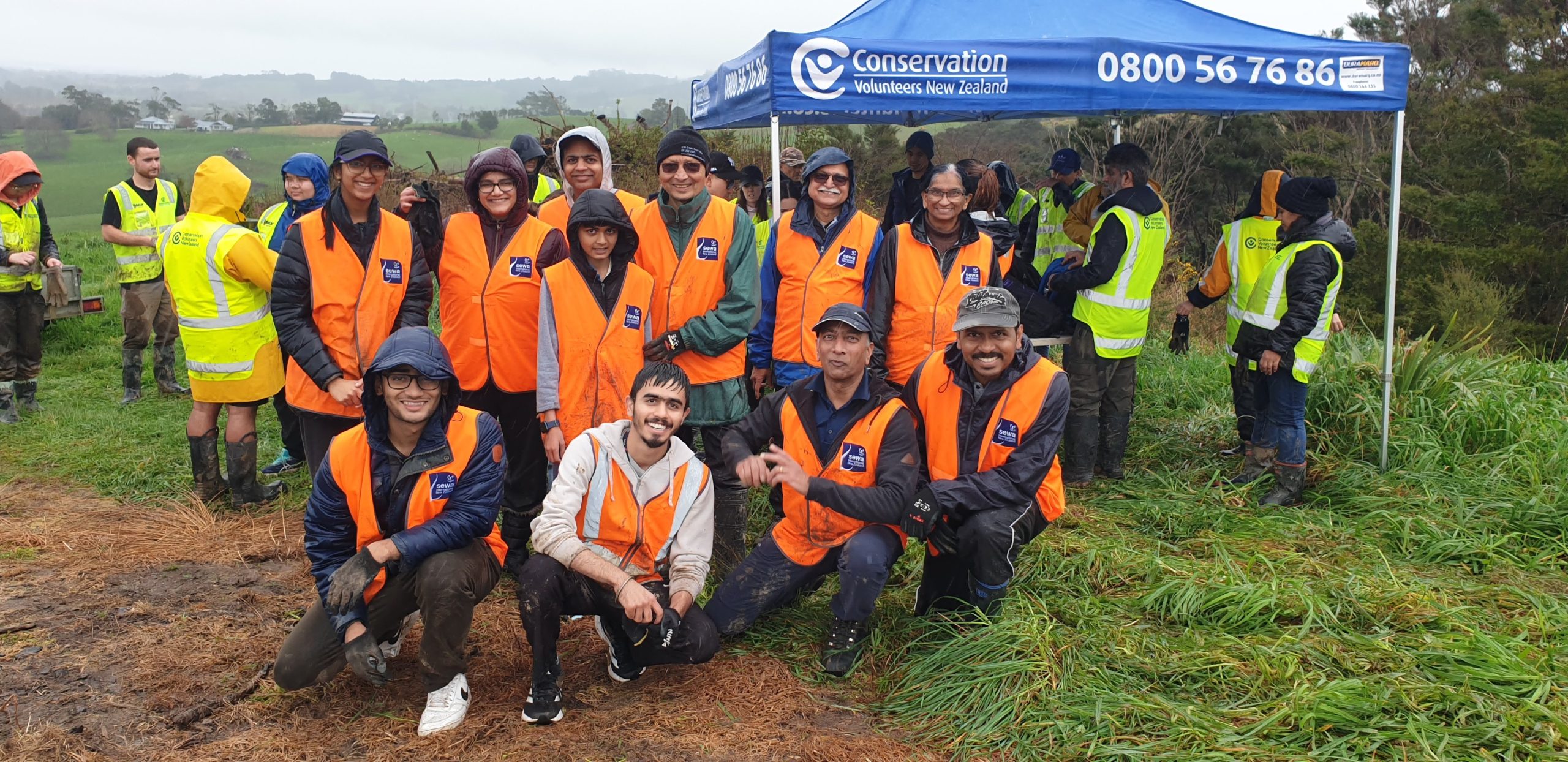 Papakura Tree planting